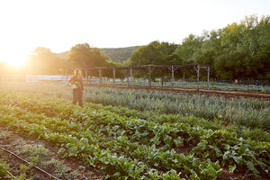 Biodynamic Farming 101: What You Need to Know at the Grocery Store & Farmer’s Market + How to Start Your Farm with Bubba Lamolinare