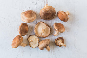 Adaptogens and How To Use them