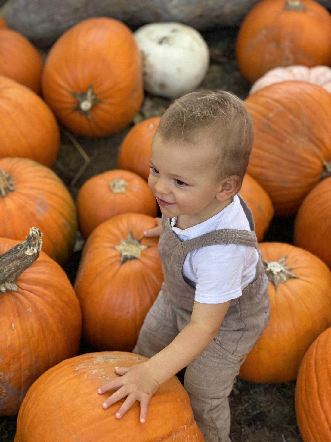 Set Sugar Boundaries and Plan Nourishing Traditions