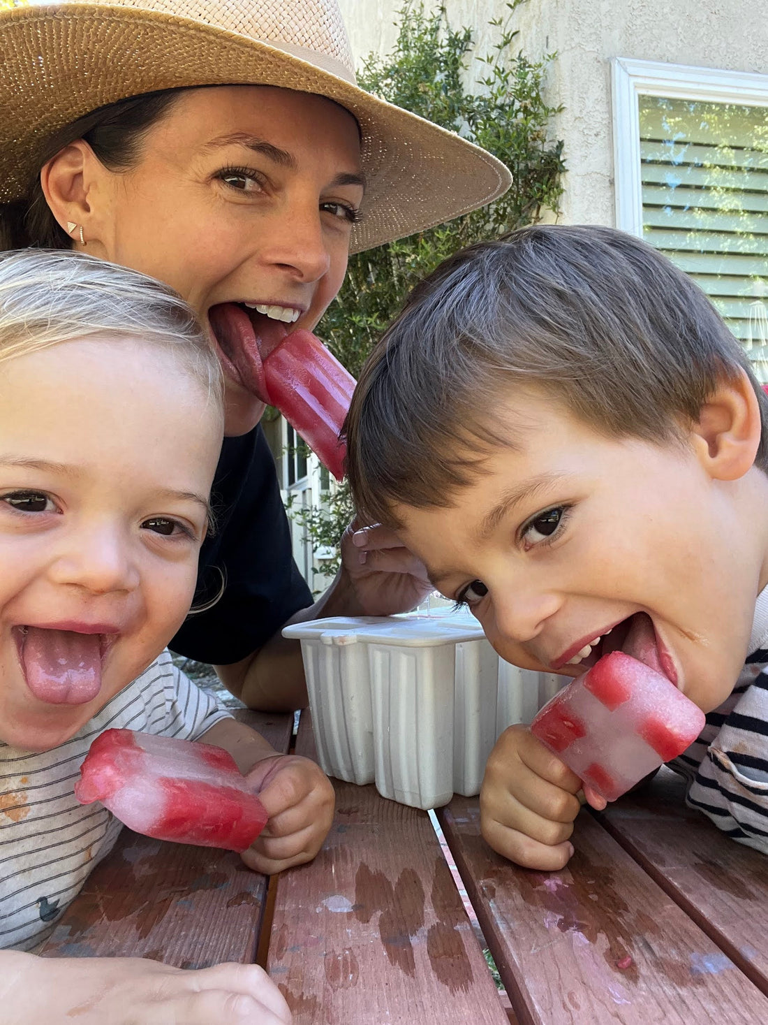 LMNT watermelon popsicle