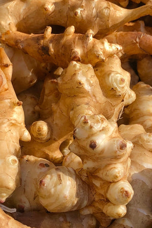 What the heck is Inulin?