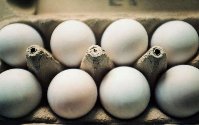 The Perfect Protein - Are eggs good or bad for you?